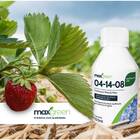 Fertilizante Líq. Concentrado Npk 04-14-08 (100ml) Maxgreen