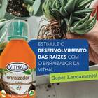 Fertilizante Líquido Enraizador Vithal - 100ml