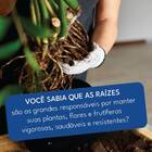 Fertilizante Líquido Enraizador Vithal - 100ml