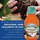 Fertilizante Líquido Enraizador Vithal - 100ml