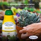 Fertilizante Líquido Para Suculentas Vithal 250ml