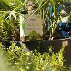 Fertilizante Mineral Misto Adubo 10-10-10 (800g) Vasap