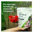 Fertilizante Mineral Misto Farinha De Ossos (1kg) Maxgreen