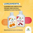 Fertilizante Mineral Misto Npk 10-10-10 (140ml) Vitaplan