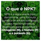 Fertilizante Mineral Misto Npk 10-10-10 (1kg) Maxgreen