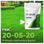 Fertilizante Mineral Misto Npk 20-05-20 (1kg) Maxgreen