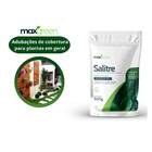 Fertilizante Mineral Misto Salitre (500g) Maxgreen