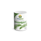 Fertilizante Mineral Misto Samambaias Vitaplan 30 Pastilhas