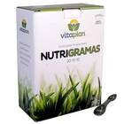 Fertilizante Mineral Nutrigramas 20-10-10 Vitaplan 1kg