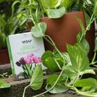 Fertilizante Mineral Simples Ureia (800g) Vasap