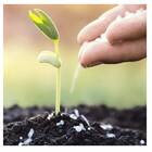 Fertilizante Mineral Ureia (1kg) Maxgreen