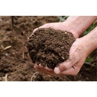 Fertilizante Natural Humus De Minhoca Adubo Orgânico 3kg