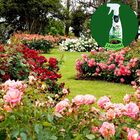 Fertilizante Natural Jardim Nutri Bio (500ml) All Garden