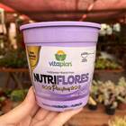 Fertilizante Nutriflores Premium (500g) Vitaplan