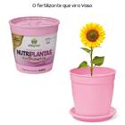 Fertilizante Nutriplantas Premium 02-15-10 Vitaplan 250 G