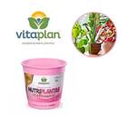 Fertilizante Nutriplantas Premium 02-15-10 Vitaplan 250 G