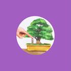 Fertilizante Org Bonsai 330g Spike