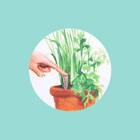 Fertilizante Org Hortas e Temperos 330g Spike