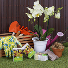 Fertilizante Orquídea 100g Dimy