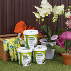 Fertilizante Orquídea Crescimento 400g Forth