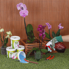 Fertilizante Orquídea Floração 400g Forth