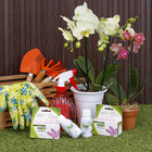 Fertilizante Orquídea Floração 60ml Forth