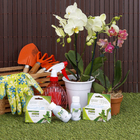 Fertilizante Orquídea Manutenção 60ml Forth