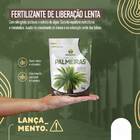 Fertilizante Para  Palmeiras (1kg) Vitaplan