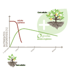 Fertilizante para Frutas Orgânico Geolia 500ml
