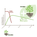 Fertilizante para Jardim Orgânico Geolia 4kg