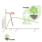 Fertilizante para Jardim Orgânico Geolia 75g 6 Bastonetes