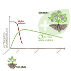 Fertilizante para Orquídeas Orgânico Geolia 500g