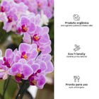Fertilizante para Orquídeas Orgânico Líquido 500ml Geolia