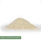 Fertilizante Para Palmeiras 400g Forth