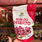 Fertilizante Para Rosa Do Deserto (1kg) Vitaplan
