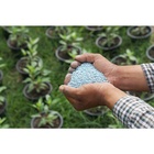 Fertilizante Para Rosa Do Deserto (3kg) Forth