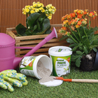 Fertilizante Plantio 400g Forth