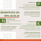 Fertilizante Premium NPK 20 05 20 Para Fortalecimento CPC Gar