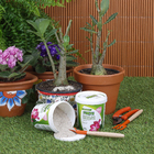 Fertilizante Rosa do Deserto 400g Forth