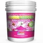 Fertilizante Rosa Do Deserto Ourogarden 400g