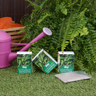 Fertilizante Samambaia 100g Dimy