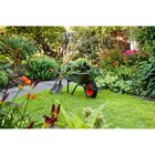 Fertilizante Sulfato de Amônio Branco N20  S24 CPC Garden - 1