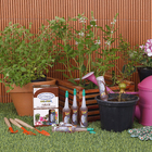 Fertilizante Uso Geral Orgânico Vithal