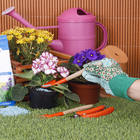 Fertilizante Uso Geral Químico Vithal