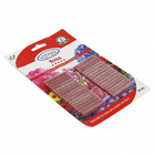 Fertilizante Vithal Flores 30 Bastonetes 35gr