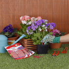 Fertilizante Vithal Flores 30 Bastonetes 35gr