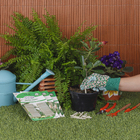 Fertilizante Vithal Plantas Verdes com 30 Bastonetes 35gr