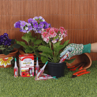 Fertilizante Vithal Gota  a Gota Para Flores com 6 AMPOLAS de 32ml Cada