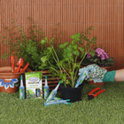 Fertilizante Vithal Gota a Gota Para Temperos com 6 Ampolas de 32ml Cada