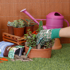 Fertlizante Cacto e Suculenta Orgânico